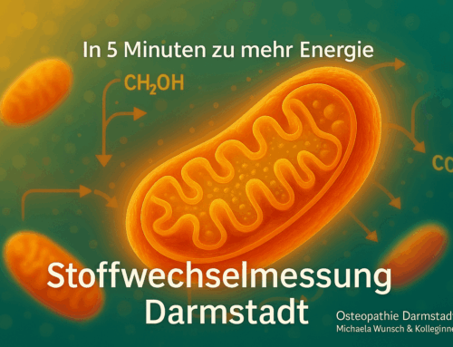 Stoffwechselmessung Darmstadt – Was Ihre Atemluft über Ihren Energiehaushalt verrät